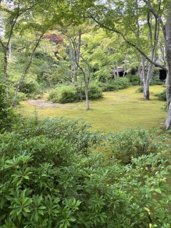 a43e05ed8dbc22c469ed1946addabb80-e1719219451549